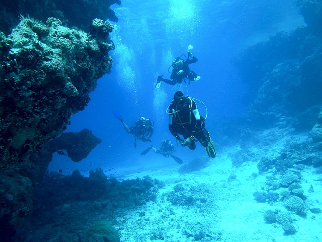underwater world langkawi